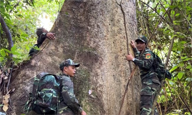 Quảng Nam mở hướng sinh kế bền vững dựa vào rừng (25/5/2023)